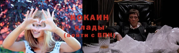 каннабис Богданович