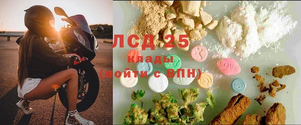 стаф Усмань