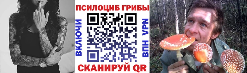 Галлюциногенные грибы MAGIC MUSHROOMS  Горняк 