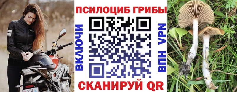 Галлюциногенные грибы Magic Shrooms Горняк