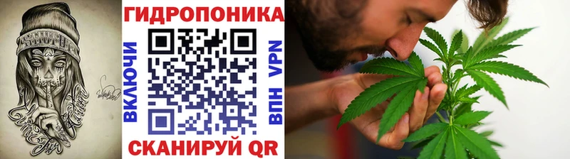 Каннабис Amnesia  закладка  Горняк 